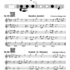 SBMK 1 - Querflöte 1,2 – Bild 3