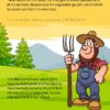 Ein musikalischer Bauernhof – Bilderbuch englische Version – Bild 4